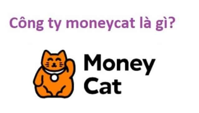 Moneycat là gì?