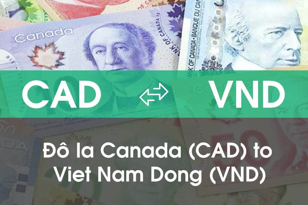 1 Đô Canada bằng bao nhiêu tiền VIệt Nam?